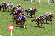 Hà Nội muốn xây trường đua ngựa 10.000 tỷ như thế nào?