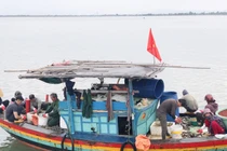 Ngư dân Hà Tĩnh kiếm tiền triệu mỗi ngày