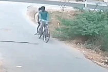 Video: Rắn hổ mang cuốn vào bánh xe đạp
