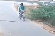 Video: Rắn hổ mang cuốn vào bánh xe đạp