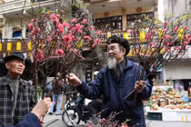 Những chợ hoa Tết nổi tiếng từ Bắc vào Nam