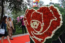 Lễ hội hoa hồng Bulgaria phải thay hoa giả bằng hoa thật