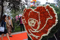 Lễ hội hoa hồng Bulgaria phải thay hoa giả bằng hoa thật