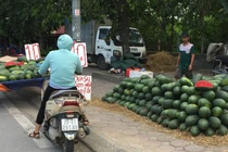 Hoa quả nhập nhèm xuất xứ, giá rẻ "giật mình" tràn lan vỉa hè Hà Nội