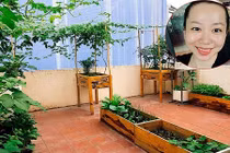 Vườn rau trồng trong thùng gỗ siêu năng suất của cô nàng 9X