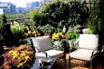 Đưa nhân tình vào nhà nghỉ, thầy dạy bơi choáng váng gặp người này