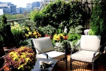 Đưa nhân tình vào nhà nghỉ, thầy dạy bơi choáng váng gặp người này