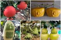 5 loại trái cây cứ đến Tết lại đắt hàng, có loại cả triệu đồng/quả