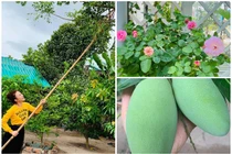 Khu vườn ngập sắc hoa, cây ăn trái trong biệt thự của Vy Oanh