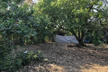 Tá hỏa phát hiện thi thể bé gái trong bao tải