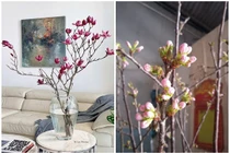 Hoa nhập khẩu giá rẻ hút khách chơi Tết 2025