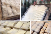 Trông như mốc, mùi khó ngửi, đậu phụ “mọc lông” vẫn hút khách