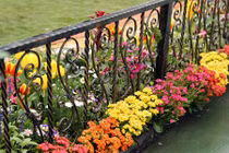 Ngây ngất 12 mẫu hàng rào quanh nhà đẹp miễn chê