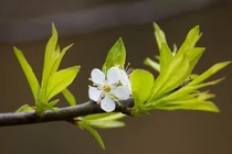 Trẻ sinh vào 3 tháng Âm lịch này, giỏi giang hơn người 