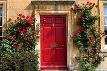 10 mẫu thiết kế cửa gỗ hiện đại, sang chảnh đón Tết