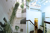 10 mẫu nhà ống có giếng trời cực đẹp
