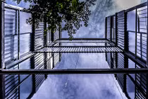 Biệt thự khung sắt hiếm thấy giữa Sài Gòn đẹp lộng lẫy trên báo Tây 