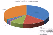 Tỷ phú mua Sabeo sắp có thương vụ khủng mới tại Việt Nam