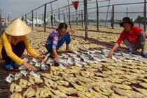 "Đột nhập" thủ phủ khô cá tra miền Tây hút khách dịp Tết