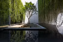 Mãn nhãn biệt thự như công viên xanh giữa lòng Sài Gòn