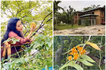 Bên trong nhà vườn “đi mỏi chân” của nghệ sĩ Thanh Thanh Hiền