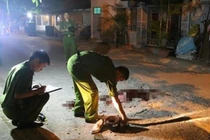 Nghi án gây tai nạn khiến 2 người chết, ô tô rời khỏi hiện trường trong đêm