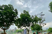 Nhếch nhác Công viên Thủ Lệ Hà Nội