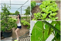 Đã mắt ngắm vườn rau xanh mướt trong biệt thự của Đoàn Di Băng