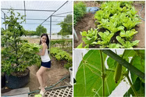 Đã mắt ngắm vườn rau xanh mướt trong biệt thự của Đoàn Di Băng
