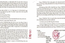 Công ty Đức Tiến Lê bị xử phạt 529 triệu đồng vì xả thải ra môi trường