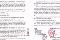 Công ty Đức Tiến Lê bị xử phạt 529 triệu đồng vì xả thải ra môi trường