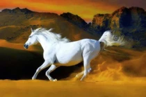 Top 3 con giáp phát tài rực rỡ, tiền bạc ngập két chỉ trong 4 tháng cuối năm 2022