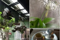 Mùa dịch Covid-19: Nở rộ ship tận nhà, khách chỉ cần “ngồi im cà phê sẽ tới”, 