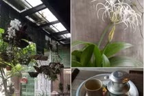 Mùa dịch Covid-19: Nở rộ ship tận nhà, khách chỉ cần “ngồi im cà phê sẽ tới”, 