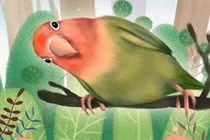 Tại sao vẹt bắt chước cách nói của con người? 