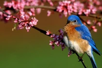 Sinh ngày Âm lịch này cả năm may mắn, suốt đời không phải đi đường vòng