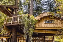 Văn phòng trên cây đẹp như cổ tích của Microsoft