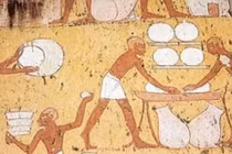 Người lao động Ai Cập cổ đại được trả lương bằng gì? 