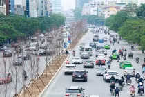 Video: Hà Nội sắp có hàng cây phong lá đỏ?