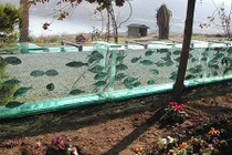 Thừa tiền, đại gia Thổ Nhĩ Kỳ xây thủy cung khổng lồ làm...hàng rào