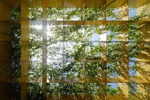 Thiết kế mở, nhà Đà Nẵng “nổi bần bật” trên báo Mỹ