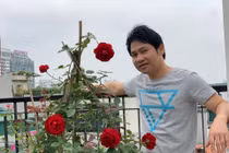 Ngắm khu vườn trong biệt thự tiền tỷ của ca sĩ Trọng Tấn