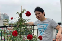 Ngắm khu vườn trong biệt thự tiền tỷ của ca sĩ Trọng Tấn