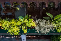 Báo Mỹ tấm tắc khen quán cà phê như ốc đảo giữa phố Đà Thành