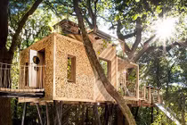 Thích thú ngôi nhà trên cây hiện đại nhất nước Anh