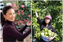 Đọ cơ ngơi đồ sộ của 2 nữ danh hài Việt nổi danh hải ngoại