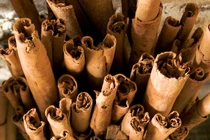 Loại cây quen thuộc với tuổi thơ giờ có giá cả triệu mỗi cân 