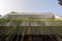 Nhà phố ngập tràn cây xanh hiếm hoi ở Hà Nội