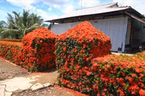 Có gì trong căn nhà độc nhất miền Tây nổi khắp mạng xã hội?