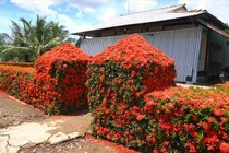 Có gì trong căn nhà độc nhất miền Tây nổi khắp mạng xã hội?